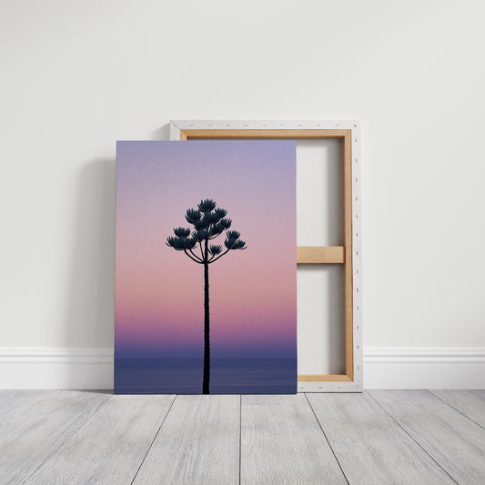 Twilight Palm Reaches For Stars
