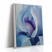 Something Soft Unfolds Within