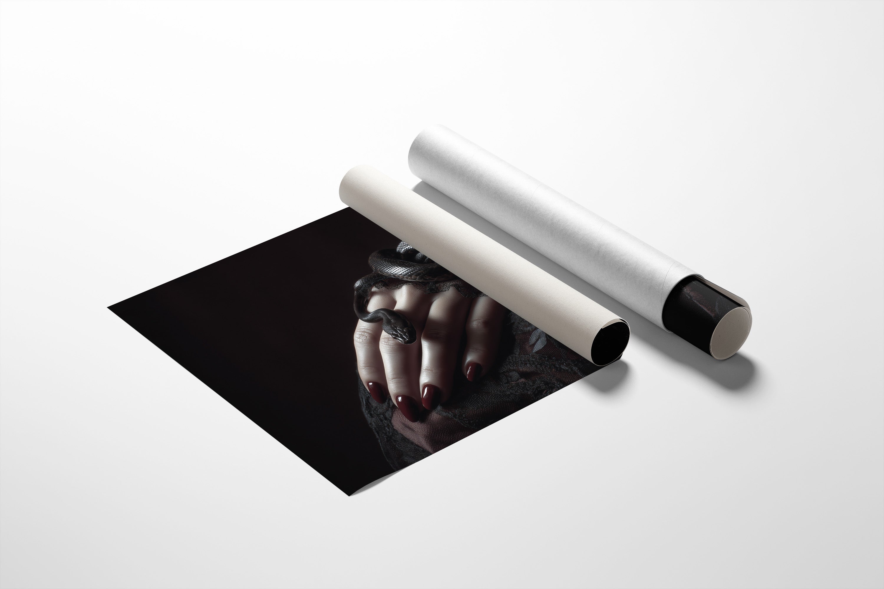 Serpent Tales Between Leather Spines