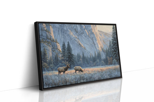 Morning Frost Greets Valley Elk