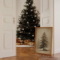 Solitary Pine Holds Winter's Memory