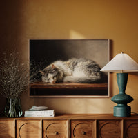 Afternoon Light On Sleeping Grace