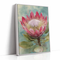 The King Protea Holds Court