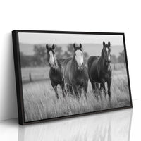 Three Mares Stand Among Prairie Grass