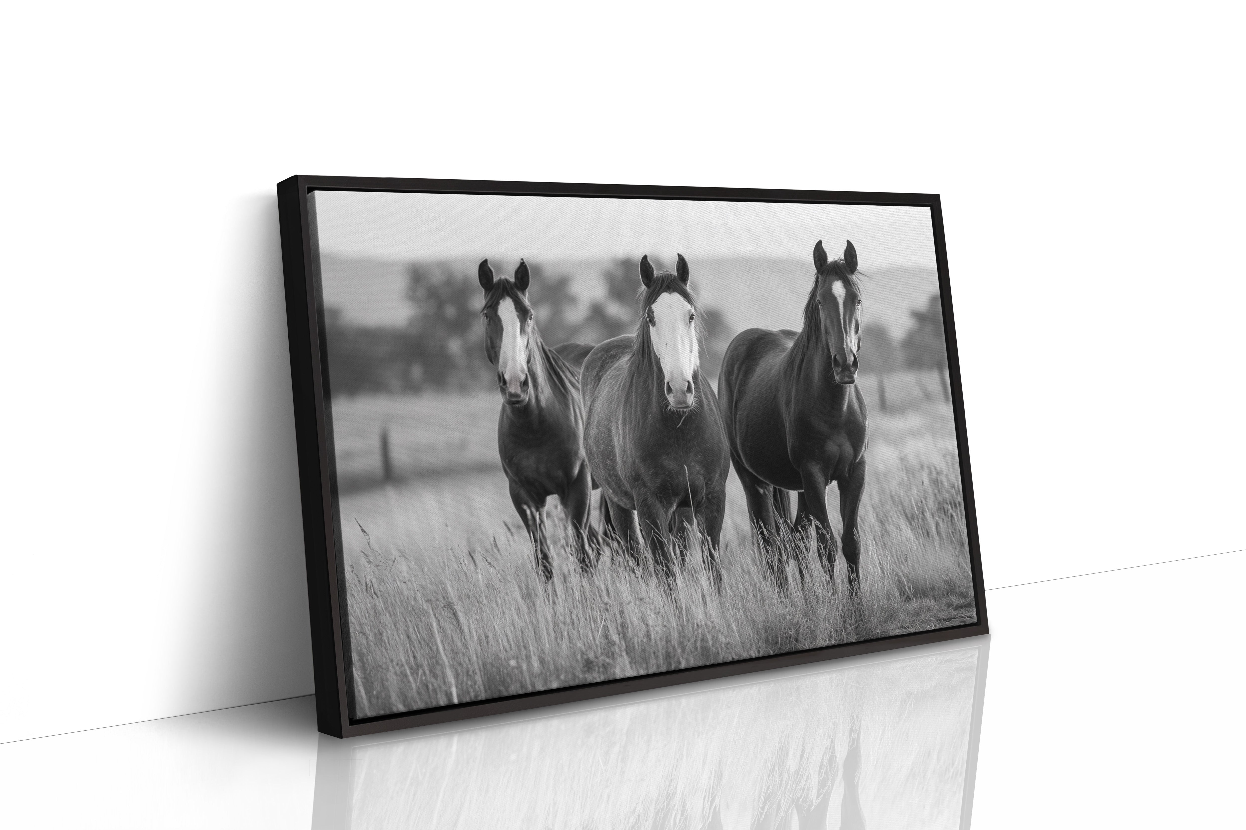 Three Mares Stand Among Prairie Grass