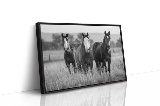 Three Mares Stand Among Prairie Grass