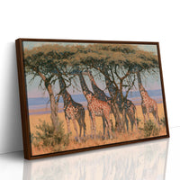 Giraffe Tower, Acacia Shade