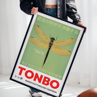 Tonbo – The Science of Dragonflies
