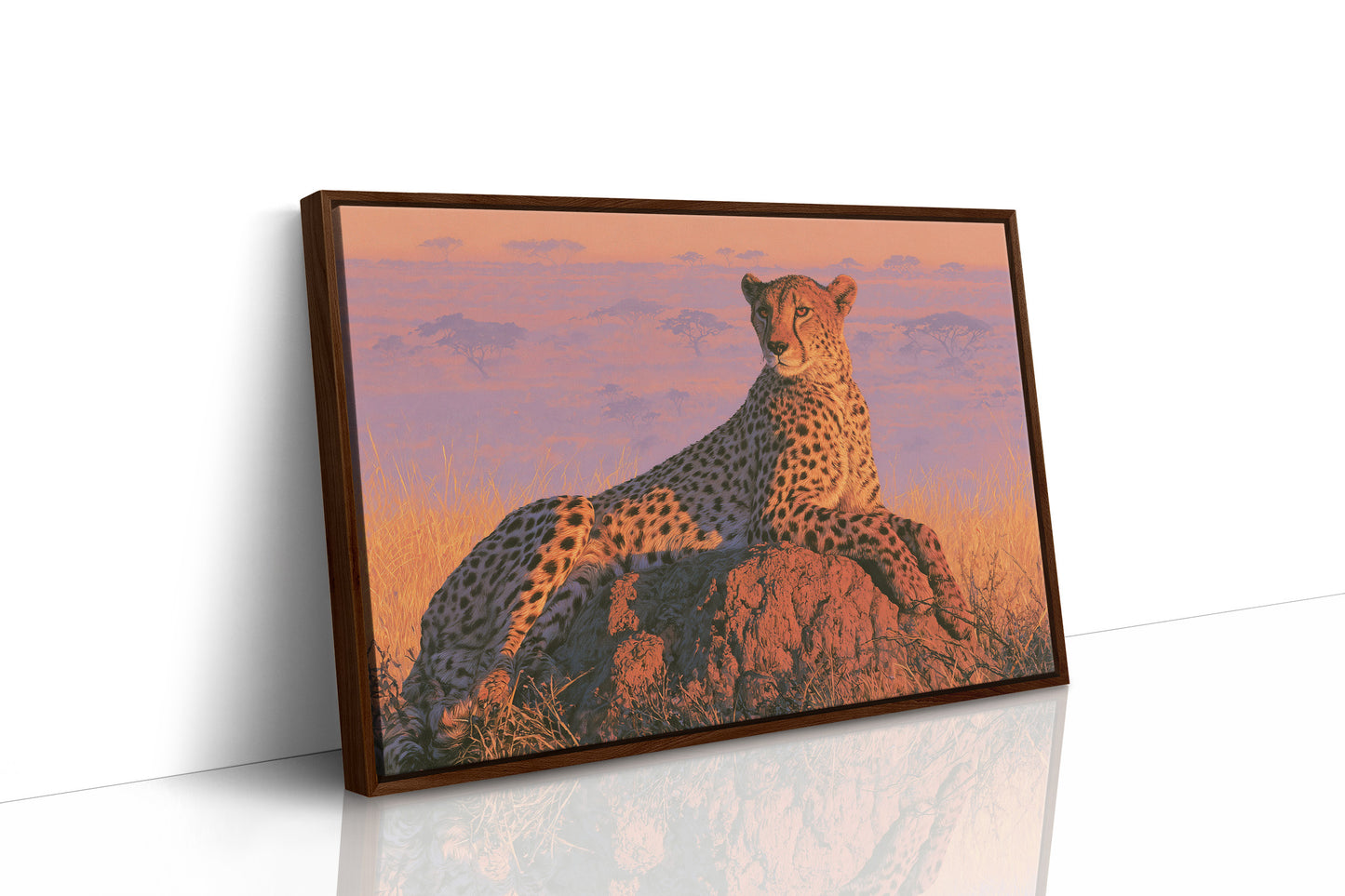 Cheetah, Termite Mound Perch