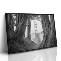 Ancient Trees Frame City Dreams