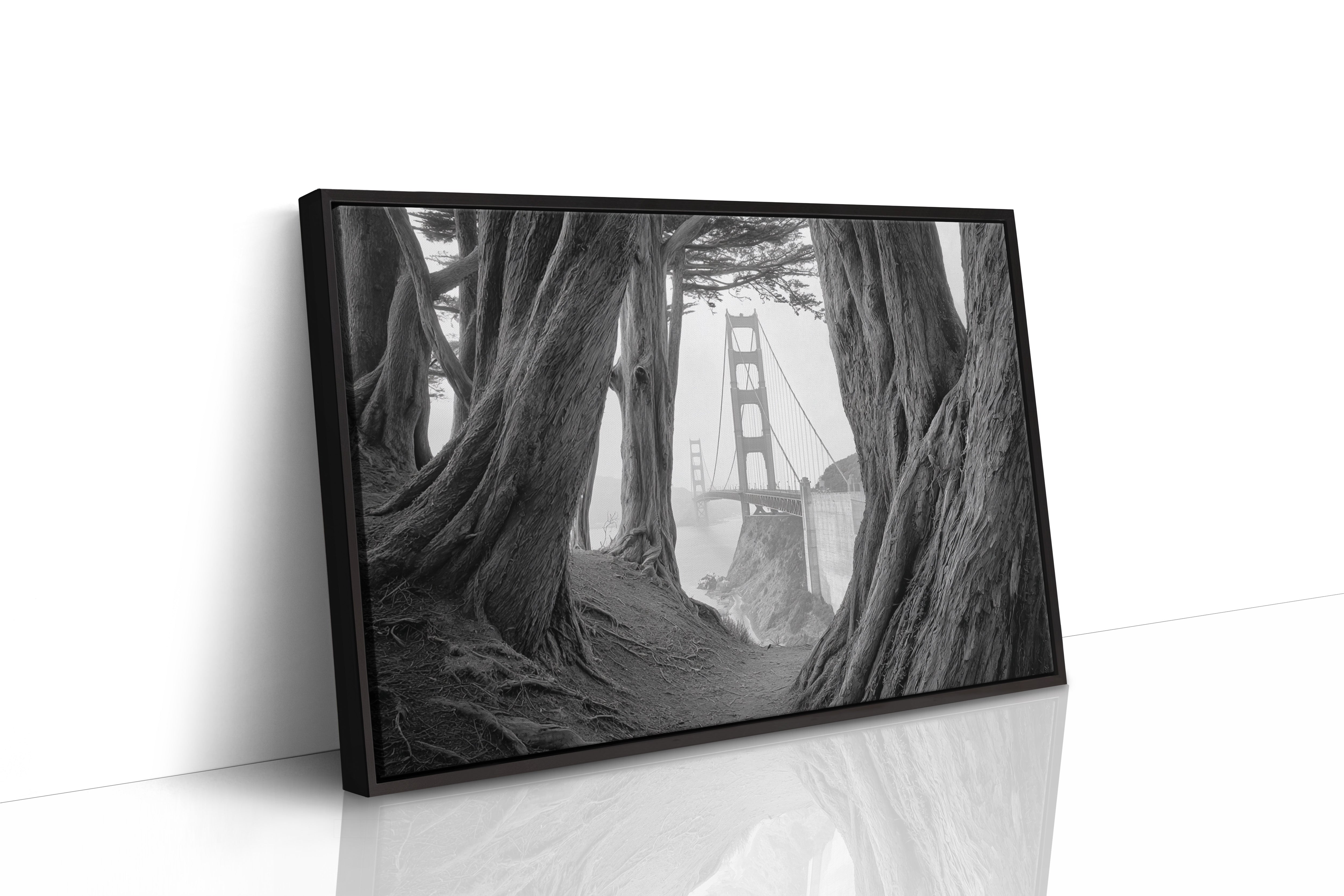 Ancient Trees Frame City Dreams