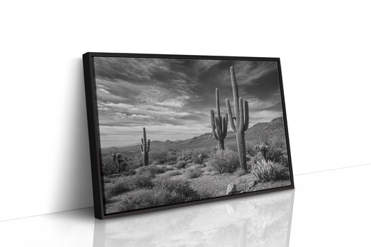 Tall Tales From Sonoran Skies