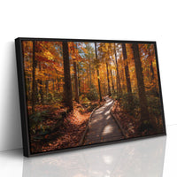 Autumn Path Weaves Golden Stories