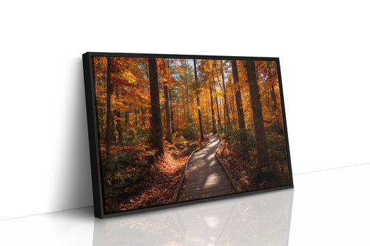 Autumn Path Weaves Golden Stories