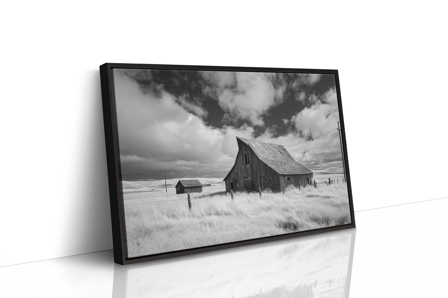 Prairie Winds Stir Memory's Fields