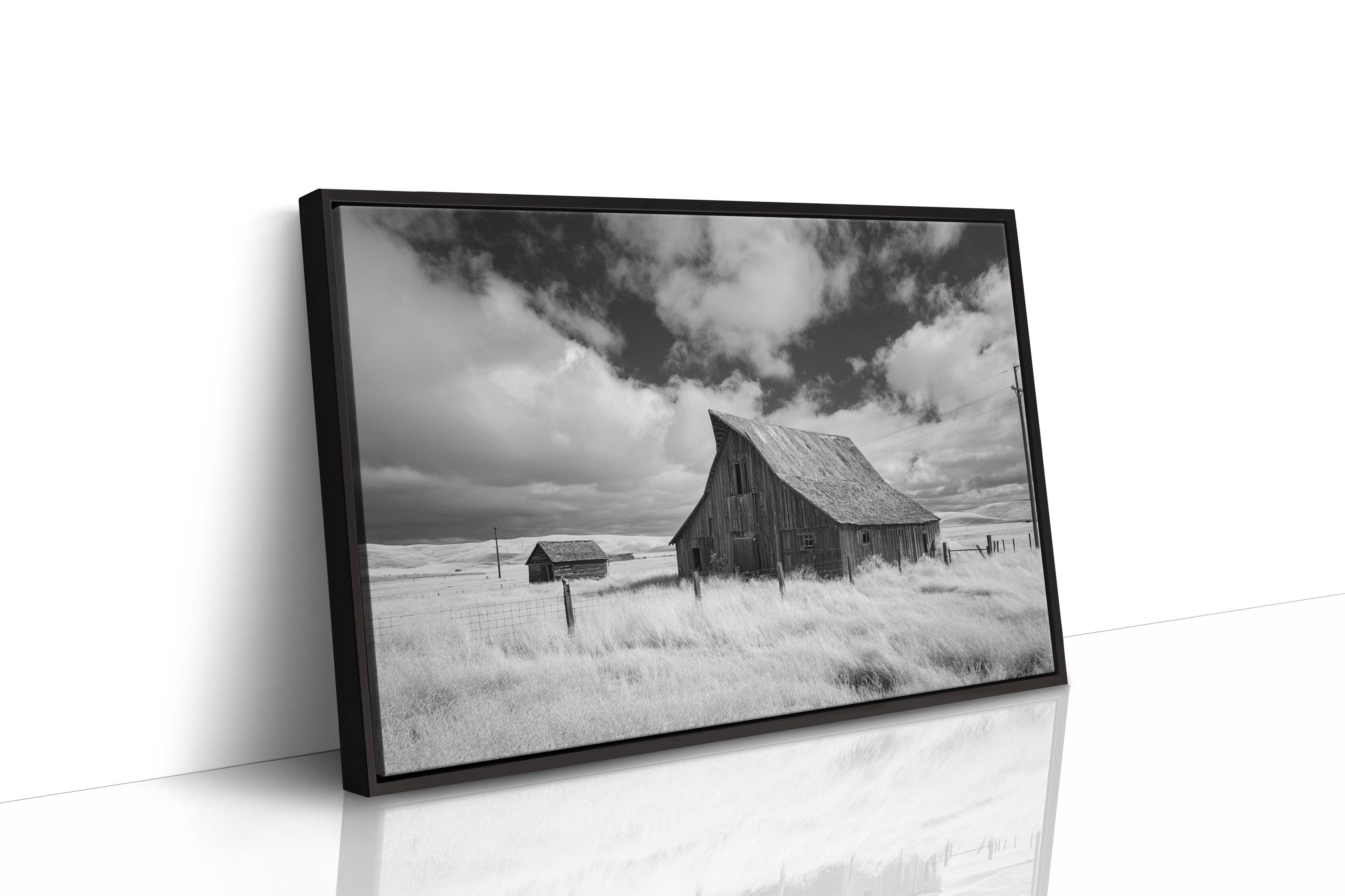 Prairie Winds Stir Memory's Fields