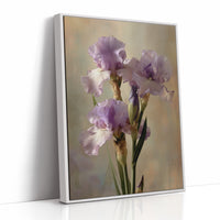 Three Irises in Morning Light