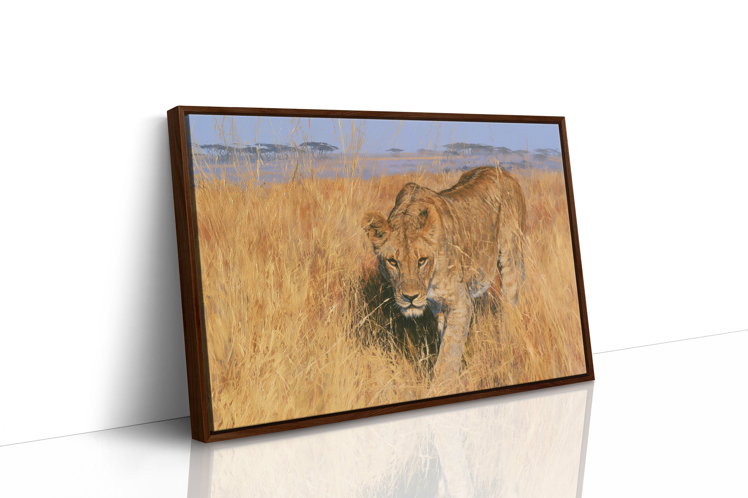 Lioness, Golden Grass Approach