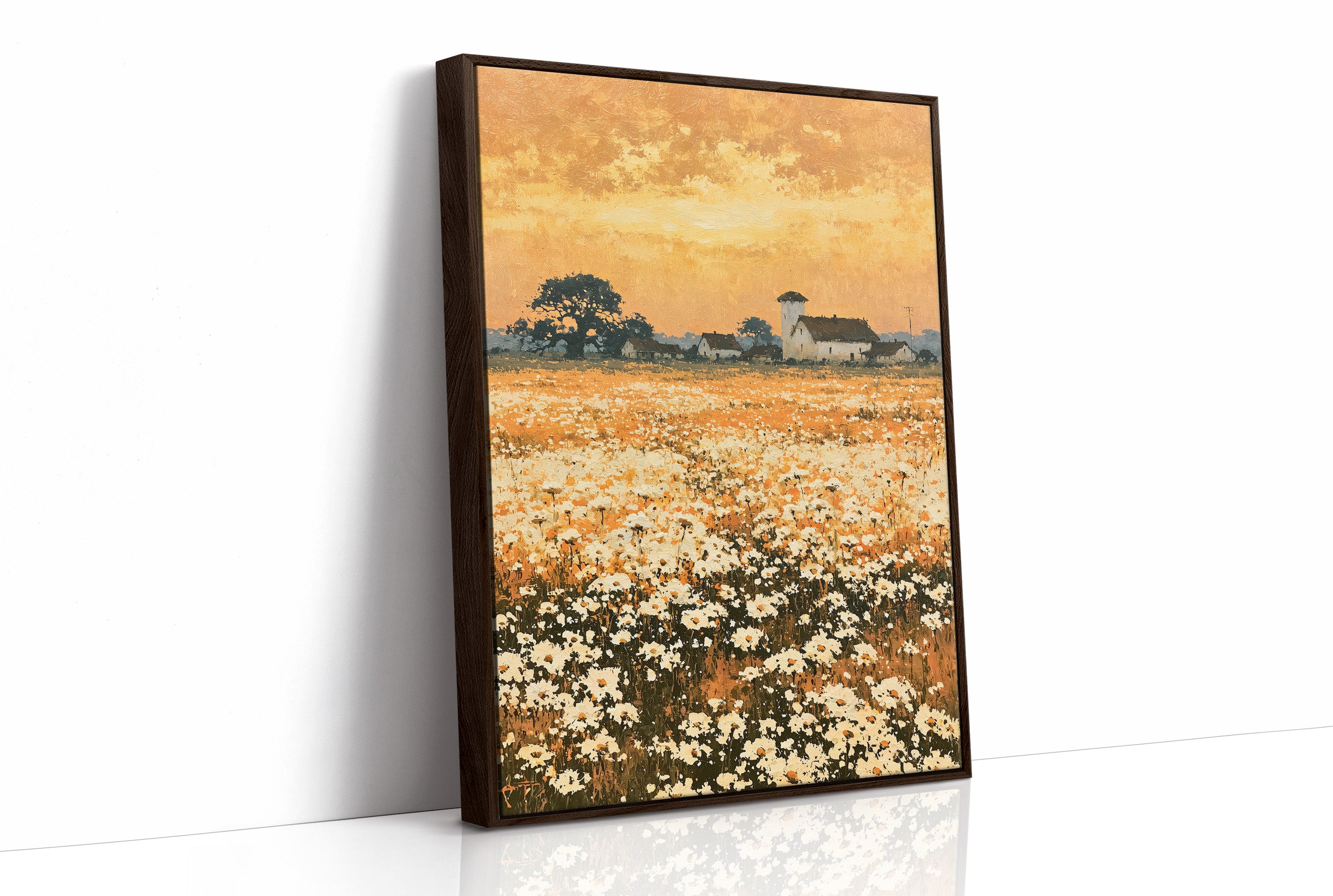 Daisy Fields at Golden Hour