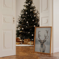 December's Gentle Northern Prince