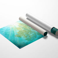 Sunbeams Illuminate Coral Branches