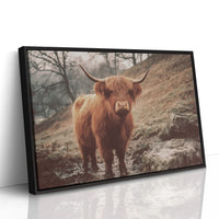 Highland Morning Mist And Stone