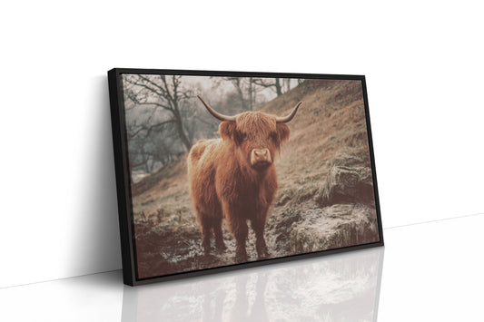 Highland Morning Mist And Stone