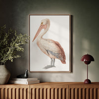 Beneath A Soft Feathered Gaze