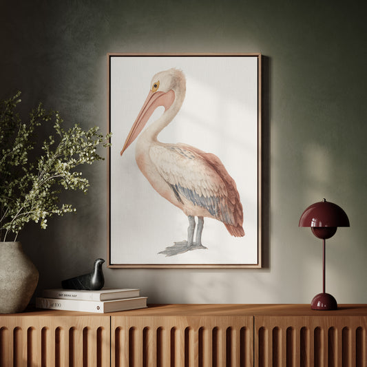 Beneath A Soft Feathered Gaze