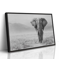 Wisdom Walks The Savanna Plains