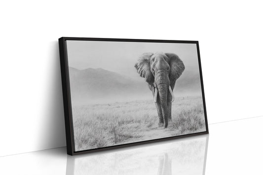 Wisdom Walks The Savanna Plains