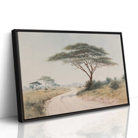 Acacia Bends Over Winding Path