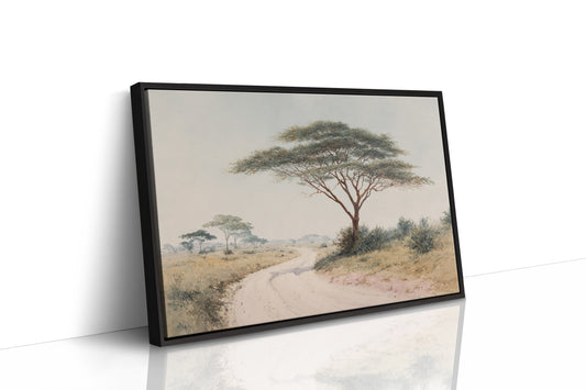 Acacia Bends Over Winding Path