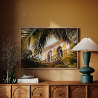 Golden Shutters Behind Palm Veils