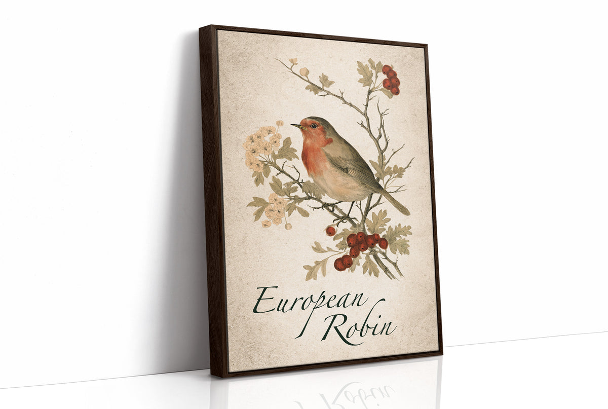 Robin the Hawthorn Blind