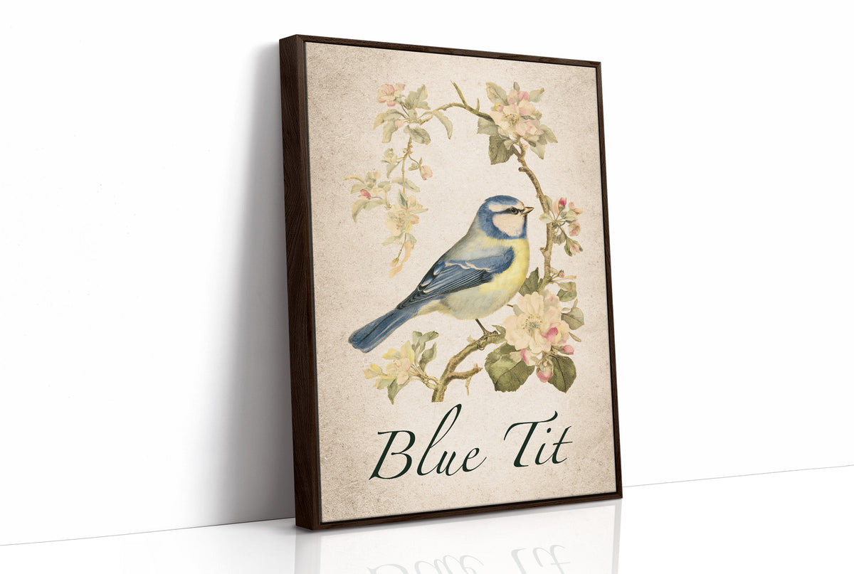 Blue-Blooded Among the Blossoms