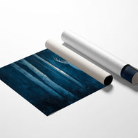 Frost Stag In Midnight Forest