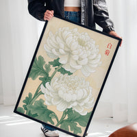 White Chrysanthemum – Symbol of Purity and Elegance