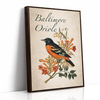 Trumpeting the Home Team Colors