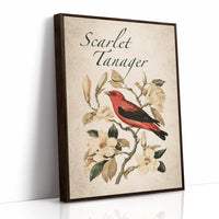 Scarlet Letter Among the Magnolias