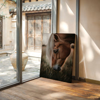 Golden Dusk and Gentle Eyes