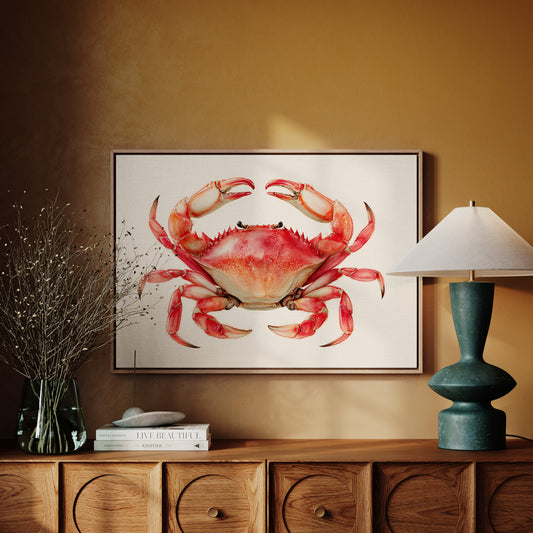 Coral Claws Catch Summer Light
