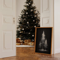 Moonlit Pines Paint Winter's Story