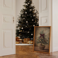Tiny Pine Brings December Magic Home