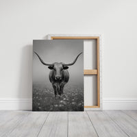 Longhorn's Steady Gaze Endures