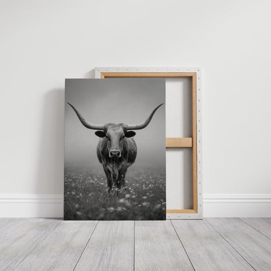 Longhorn's Steady Gaze Endures