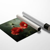 Scarlet Blooms Among Literary Worlds