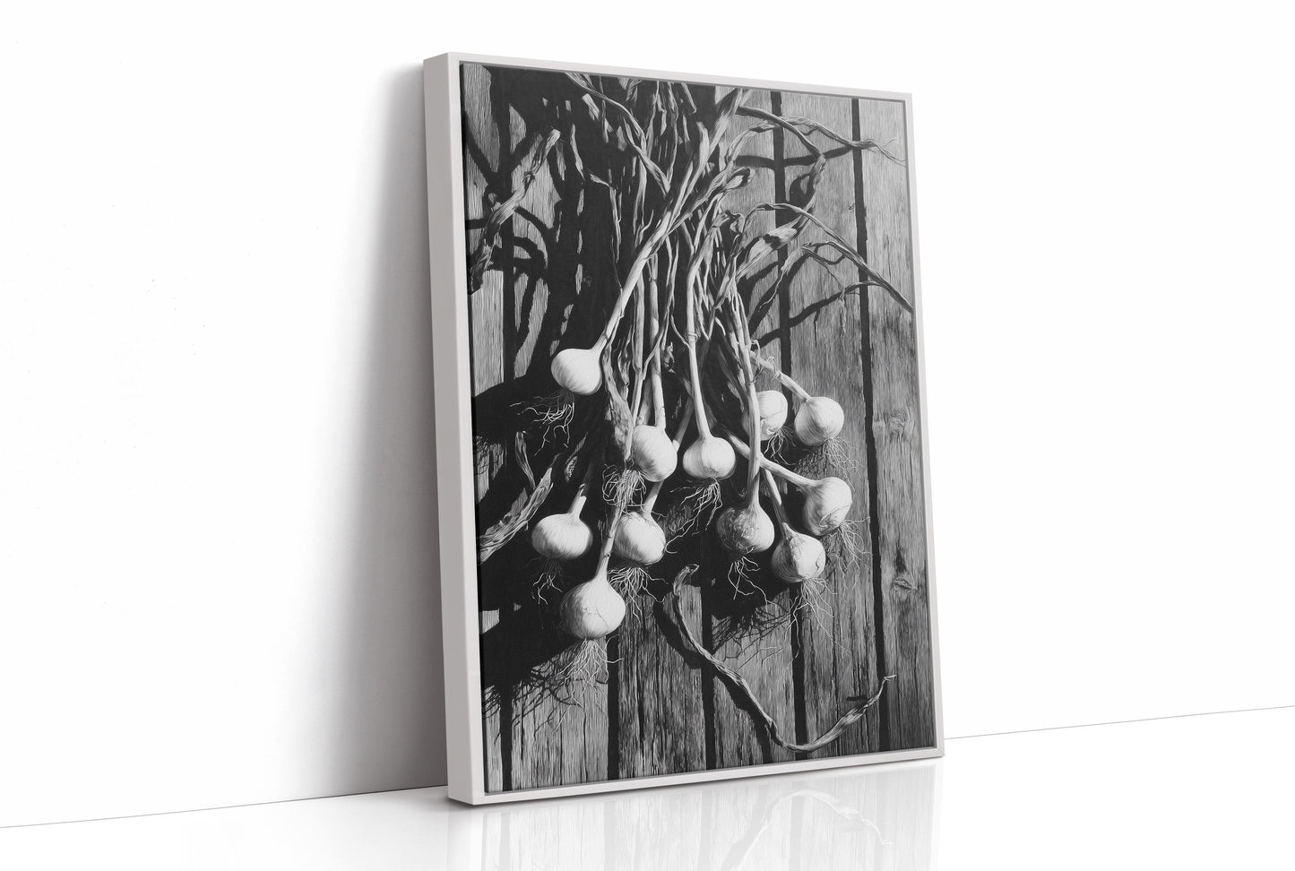 Garlic Hanging In Shadow