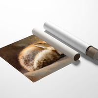 Slumber Among Literary Worlds