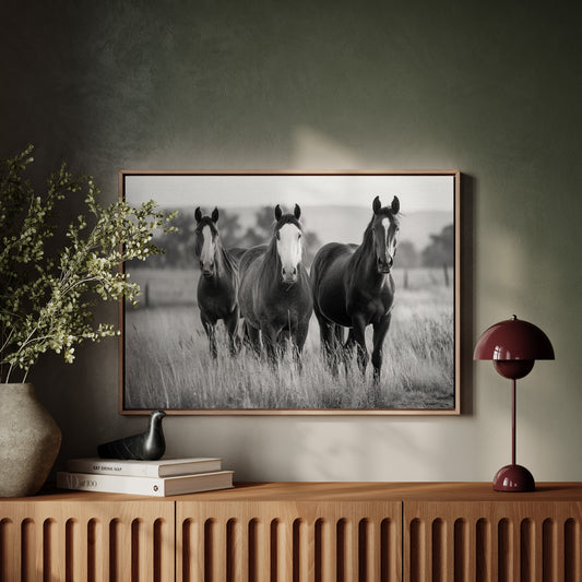 Three Mares Stand Among Prairie Grass